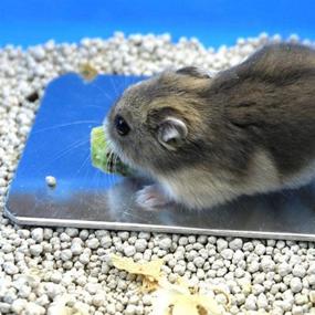 img 3 attached to 🐇 Comtim Rabbits Cooling Mat: Keep Your Small Pets Cool with our Self Cooling Mat Pad for Hamster, Guinea Pig, Chinchilla, Kitten, Cat and More!