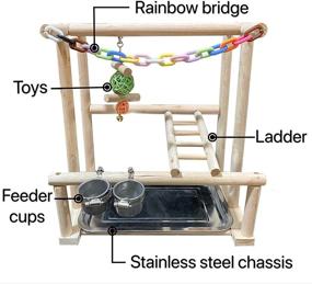 img 3 attached to 🦜 Natural Wood Bird Playground Stand with Feeder Cups & Toys - Cockatiel Perch Gym and Playpen Ladder for Exercise (Includes Chewing Toy)