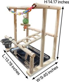 img 2 attached to 🦜 Natural Wood Bird Playground Stand with Feeder Cups & Toys - Cockatiel Perch Gym and Playpen Ladder for Exercise (Includes Chewing Toy)