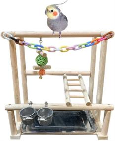 img 4 attached to 🦜 Natural Wood Bird Playground Stand with Feeder Cups & Toys - Cockatiel Perch Gym and Playpen Ladder for Exercise (Includes Chewing Toy)