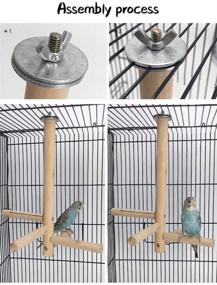 img 4 attached to 🐦 NAPURAL WYunPets Bird Perch: Natural Wooden Toys for Climbing Stairs in Birdcages - Ideal for Conures, Parakeets, Budgies, Cockatiels, Lovebirds