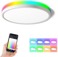 ocioc 12-inch smart ceiling light fixture - slim flush mount, alexa & google home compatible, wifi led ceiling lights with rgb lighting (24w) for bedroom, children's room, dining room логотип