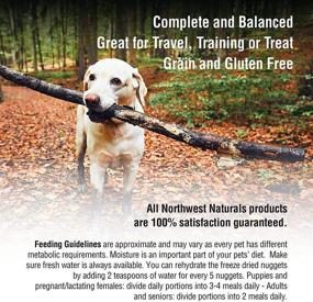 img 1 attached to 🐶 Grain-Free, Gluten-Free Northwest Naturals Freeze Dried Nuggets Dog Food – Freeze Dried Raw Diet for Dogs, Ideal for Dog Training Treats
