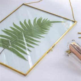 img 3 attached to 🖼️ NCYP 14.2"x11" Wall Hanging Brass Glass Artwork Certificate Photo Picture Display Frame | Geometric Ornament Plant Specimen Clip | Modern Vertical Decor Card Holder | Large Glass Frame (Frame Only)