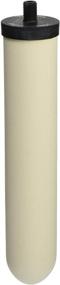 img 1 attached to 💧 Doulton W9121750 10-Inch Sterasyl Ceramic Water Filter