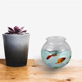 img 1 attached to 🐠 16 Oz Fish Bowl Vase - Unbreakable BPA-Free Plastic Ivy Bowls, 4 Inch - Ideal for Candy, Carnival Games, Prizes, Centerpieces & Party Decorations - Pack of 12