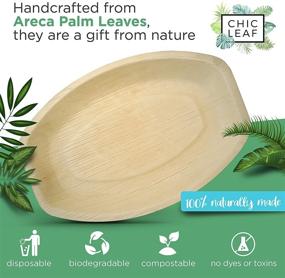 img 3 attached to 🌿 Chic Leaf Palm Leaf Platter: Strong Disposable Bamboo Plates for Charcuterie, Cheese Boards, and Fruit - 10 Pack