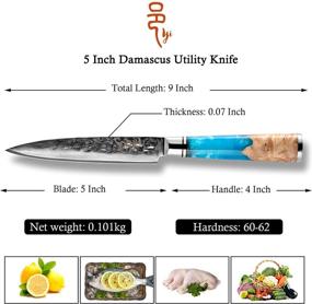 img 1 attached to 🔪 Прочный поварской нож из дамасской стали - 5-дюймовый нож японского типа для аккуратного чистки, резки и нарезки овощей и фруктов - синяя смола на рукоятке - супер острый.