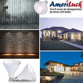 img 1 attached to AmeriLuck 🌞 Non-Dimmable Security Daylight Equivalent