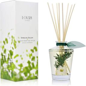 img 4 attached to Experience the Festive Aroma with LOVSPA Sparkling Balsam Reed Diffuser Oil Set