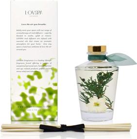 img 3 attached to Experience the Festive Aroma with LOVSPA Sparkling Balsam Reed Diffuser Oil Set