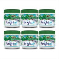 🌲 bright air winter pine and berries solid air freshener and odor eliminator, 14 oz each, 6 pack logo