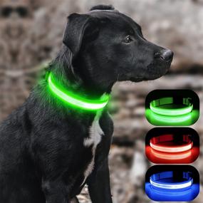 img 4 attached to 🐶 BSEEN Light Up Dog Collar: Rechargeable LED Puppy Collar for Night Safety, Water-Resistant & Reflective Glow Collars for Small, Medium & Large Dogs