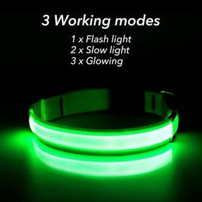 img 3 attached to 🐶 BSEEN Light Up Dog Collar: Rechargeable LED Puppy Collar for Night Safety, Water-Resistant & Reflective Glow Collars for Small, Medium & Large Dogs