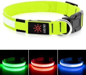 img 2 attached to 🐶 BSEEN Light Up Dog Collar: Rechargeable LED Puppy Collar for Night Safety, Water-Resistant & Reflective Glow Collars for Small, Medium & Large Dogs