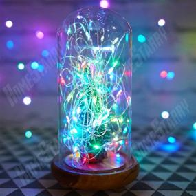 img 1 attached to 🌟 Homestarry 33ft 100LEDs Fairy Lights with Remote Control, USB Plug In, 16 Color Changing Twinkle Firefly Lights for Bedroom, Party, Wedding, Christmas, Tapestry - Multicolor Colors