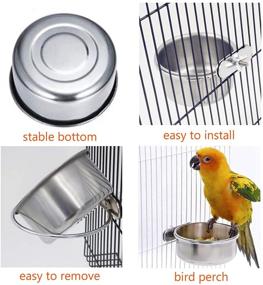 img 1 attached to 🦜 Premium Stainless Steel Parrot Feeding Cups - 5PCS Set with Fruit Vegetable Holder Chew Ball for Lovebird Budgie - Hamiledyi