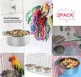 img 3 attached to 🦜 Premium Stainless Steel Parrot Feeding Cups - 5PCS Set with Fruit Vegetable Holder Chew Ball for Lovebird Budgie - Hamiledyi