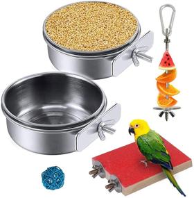 img 4 attached to 🦜 Premium Stainless Steel Parrot Feeding Cups - 5PCS Set with Fruit Vegetable Holder Chew Ball for Lovebird Budgie - Hamiledyi