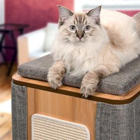 img 2 attached to 🐱 Vesper Cubo Cat Tree House: The Ultimate Cat Furniture for Playful Felines