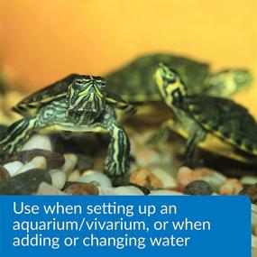 img 2 attached to 🐢 API Turtle Products: Enhance Aquarium Hygiene, Ensure Safe Tap Water for Turtles, and Combat Bacterial Infections with TURTLEFIX