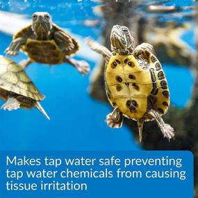 img 1 attached to 🐢 API Turtle Products: Enhance Aquarium Hygiene, Ensure Safe Tap Water for Turtles, and Combat Bacterial Infections with TURTLEFIX