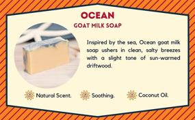 img 1 attached to Ocean Soap by Goat Milk Stuff - All-Natural Goat Milk Soap Bars for Dry Skin Relief - Handmade, Moisturizing Body and Face Wash for Men and Women (Box of 2)