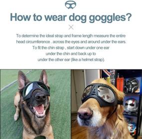 img 2 attached to 🐶 NVTED Large Breed Dog Goggles - Windproof and Snowproof Eye Protection Glasses for Outdoor Activities, Driving, and Cycling