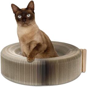 img 4 attached to Pawaboo Cat Scratcher Lounge Bed - Collapsible Corrugated Cardboard Scratching Toy Pad & Round Bed for Cats, Beige - Premium Quality with Catnip for Optimal Enjoyment