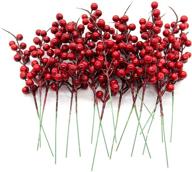 рождественские украшения auear berries holiday логотип