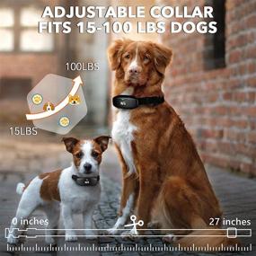 img 1 attached to 🐶 DOG CARE Rechargeable Dog Training Collar: Rainproof, Long Range, Adjustable Shock Levels, Remote Control