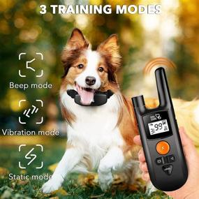 img 3 attached to 🐶 DOG CARE Rechargeable Dog Training Collar: Rainproof, Long Range, Adjustable Shock Levels, Remote Control