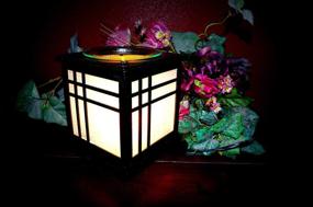 img 3 attached to 🕯️ Bonsai Electric Candle Wax Melt Warmer and Oil Burner Lamp Combo by Coo Candle - 1 Piece