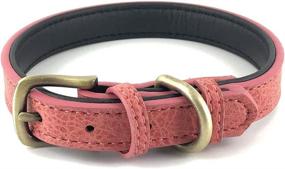 img 4 attached to 🐶 Premium Padded Leather Dog Collar for Luxury Sofa Comfort by Soft Touch Collars