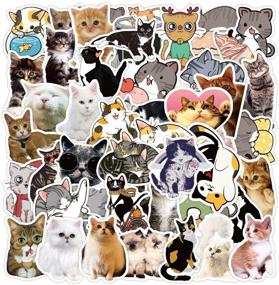 img 3 attached to Waterproof Cat Stickers - 50-Pack Homabachyco Vinyl Decals for Snowboard, Bicycle, Phone, Computer, Keyboard, Car Window, Bumper, Wall, Luggage - DIY Graffiti Patches for Kids