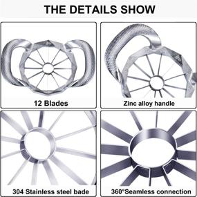 img 1 attached to 🍏 Efficient DYKL Apple Corer Slicer: 12-Blade Divider, 4.1 Inches, Stainless Steel Cutter for Large Apples