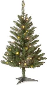 img 4 attached to 🎄 3-Foot Green Kingswood Fir Mini Christmas Tree by National Tree Company - Includes Stand, Artificial