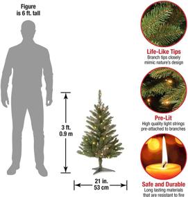 img 2 attached to 🎄 3-Foot Green Kingswood Fir Mini Christmas Tree by National Tree Company - Includes Stand, Artificial