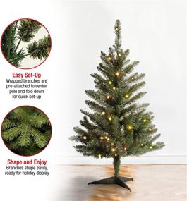 img 1 attached to 🎄 3-Foot Green Kingswood Fir Mini Christmas Tree by National Tree Company - Includes Stand, Artificial