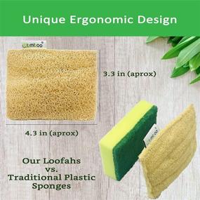 img 3 attached to 🌱 Eco-Friendly Natural Loofah Kitchen Sponges (3 Pack) - Biodegradable & Compostable Sponge for Dishes - Plant-Based Kitchen Sponge Solution