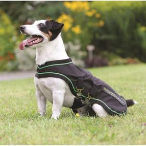 img 2 attached to HORSEWARE PRODUCTS LTD Sportz Vibe Blanket