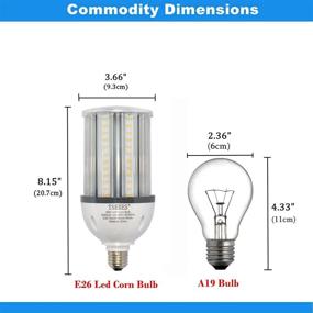 img 2 attached to 🏞️ Medium Outdoor Lighting for Equivalent Lumens