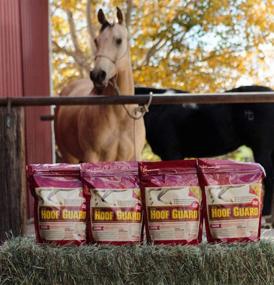 img 1 attached to Equine Hoof Guard Concentrated Supplement