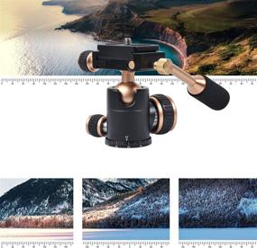 img 1 attached to Bestshoot Flexi-Tilt Universal Ball Head with Quick Release Plate and 1/4 Screw for DSLR Camera, Video Camcorder, Cellphone/Pad, Mirrorless Cameras, Ring Light, Selfie - Tripod Head