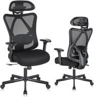 🪑 sunnow ergonomic desk chair логотип