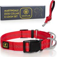 🐶 nickylab - martingale dog collar and leash set (bonus) - ideal for large and extra large dogs logo