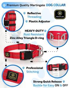 img 3 attached to 🐶 NICKYLAB - Martingale Dog Collar and Leash Set (Bonus) - Ideal for Large and Extra Large Dogs