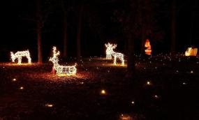img 3 attached to 🌲 Lawn Lights Outdoor Decoration with LED, Christmas Theme, 21-10, in Warm White