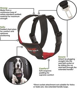 img 2 attached to 🐾 The Company of Animals Clix Carsafe: Ensuring In-Car Safety for Dogs