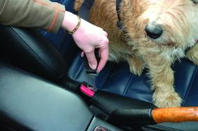 img 1 attached to 🐾 The Company of Animals Clix Carsafe: Ensuring In-Car Safety for Dogs